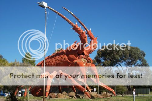 big_lobster.jpg