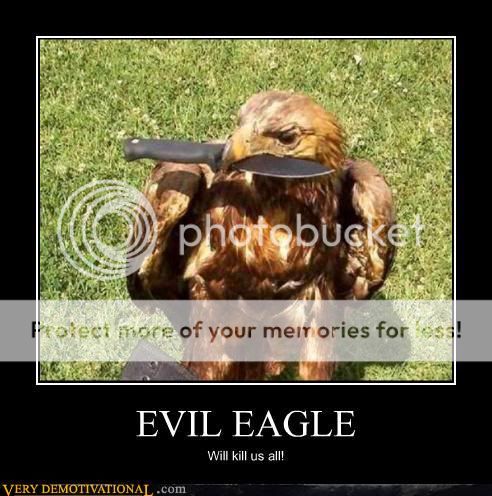 evil_eagle.jpg