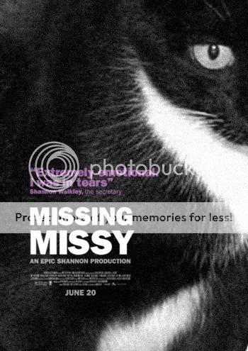 missing_missy2.jpg