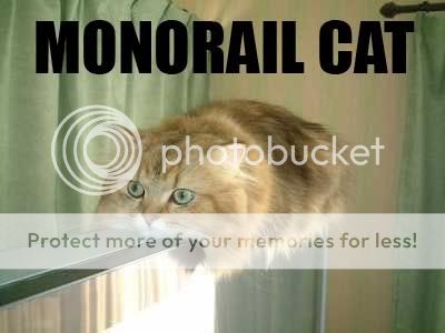 monorail_cat.jpg