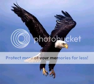 vs_eagle.jpg