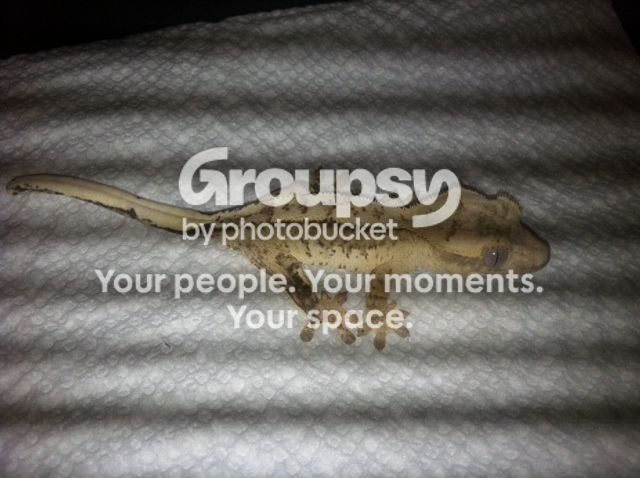 image7.jpeg