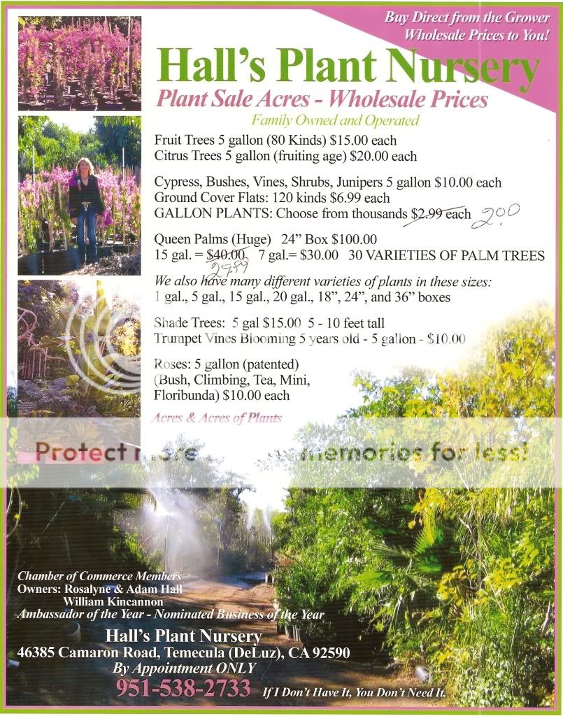 Hall's Plant Nursery