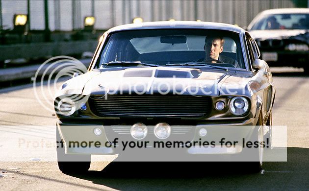 mustang2.jpg