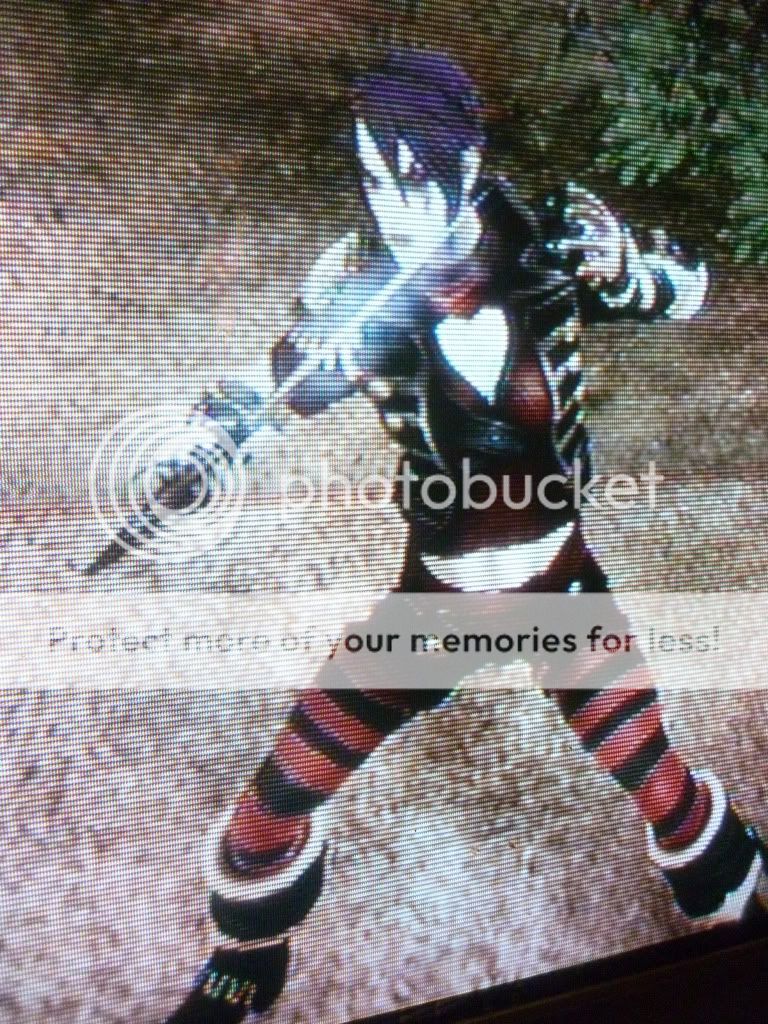 User Image